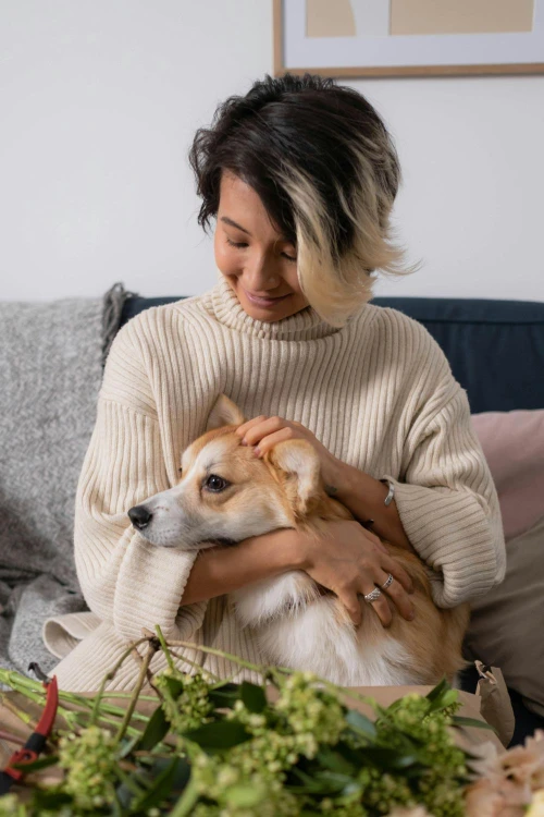 Caring-for-our-dog-with-aloe-vera