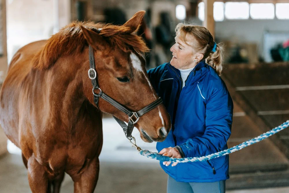 Caring-for-our-horse-with-aloe-vera